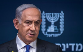 בנימין נתניהו (צילום: חיים גולדברג, פלאש 90)
