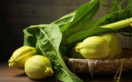 אתרוג (צילום: אינג'אימג')