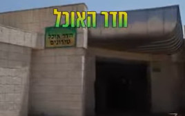 סרטון של בא"ח גולני (צילום: צילום מסך מתוך פייסבוק)