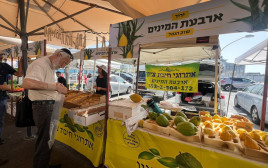 יריד ארבעת המינים בשוק הנמל, נמל תל אביב (צילום: גל יערי)