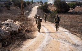 פעילות חטיבה 188 בדרום לבנון (צילום: דובר צה"ל)