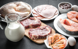 מזונות עשירים בחלבון (צילום: אינגאימג)