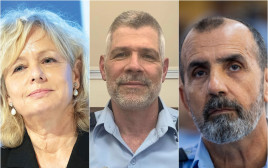 דני לוי, אליעזר כהנא, גלי בהרב מיארה  (צילום: דוברות המשטרה,יונתן זינדל, פלאש 90)