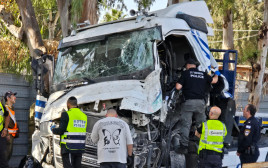 פיגוע דריסה בגלילות (צילום: אבשלום ששוני)