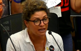 עדי אשכנזי בכנסת (צילום: ערוץ הכנסת)