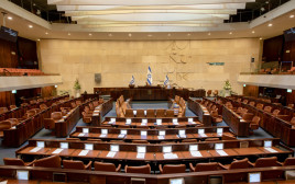 הכנסת (צילום: שאטרסטוק)