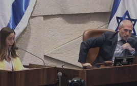 מאי גולן וחנוך מילביצקי בעימות במליאת הכנסת (צילום: דוברות הכנסת)