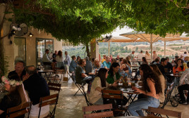 יקב קסטל  (צילום: אלעד ברמי)