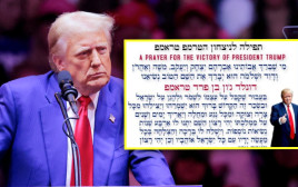 דונאלד טראמפ (צילום: רויטרס)