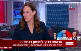 יונית לוי (צילום: צילום מסך מתוך "החדשות")