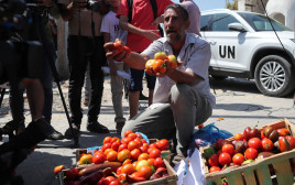 עגבניות בעזה (צילום:  REUTERS/Suhaib Salem)