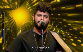 דניאל וייס (צילום: צילום מסך הכוכב הבא לאירוויזיון)