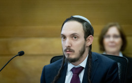 חנמאל דורפמן (צילום: חיים גולדברג, פלאש 90)