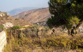 פעילות כוחות צה"ל בדרום לבנון (צילום: דובר צה"ל)
