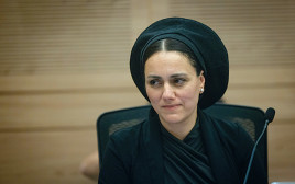 לימור סון הר מלך. יוזמת החוק (צילום: חיים גולדברג, פלאש 90)