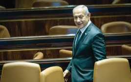בנימין נתניהו (צילום: יונתן זינדל, פלאש 90)