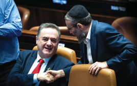 ישראל כ"ץ (צילום: יונתן זינדל, פלאש 90)