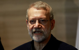 עלי לאריג'אני (צילום: רויטרס)