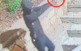 אירוע ירי בגליל (צילום: מסך)