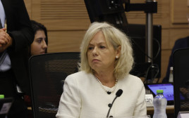 היועצת המשפטית לממשלה גלי בהרב מיארה (צילום: מרק ישראל סלם)
