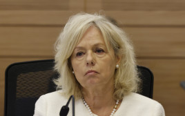 גלי בהרב מיארה (צילום: מארק ישראל סלם)