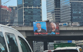 שלט נגד היועמ"שית במימון מפלגת נעם שבקואליציה (צילום: ללא)