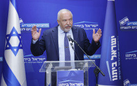 יו"ר ישראל ביתנו אביגדור ליברמן (צילום: מרק ישראל סלם)