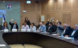 ועדת הכנסת (צילום: יונתן זינדל, פלאש 90)