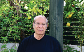 שייקה לוי  (צילום: אבשלום ששוני)