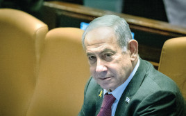 נתניהו (צילום: חיים גולדברג/פלאש 90)