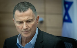 יולי אדלשטיין (צילום: חיים גולדברג, פלאש 90)