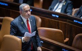 בנימין נתניהו  (צילום: חיים גולדברג, פלאש 90)