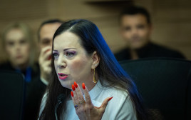 טלי גוטליב (צילום: יונתן זינדל, פלאש 90)