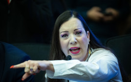 טלי גוטליב (צילום: יונתן זינדל, פלאש 90)
