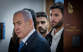 בנימין נתניהו  (צילום:  חיים גולדברג, פלאש 90)
