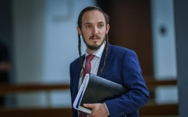 חמנאל דורפמן (צילום:  חיים גולדברג, פלאש 90)