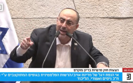 ניסים ואטורי (צילום: צילום מסך מערוץ הכנסת)