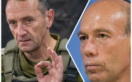 מתניהו אנגלמן, הרצי הלוי (צילום: דובר צה"ל,יונתן זינדל פלאש 90)