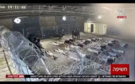 תיעוד מתוך שדה תימן (צילום: מסך)