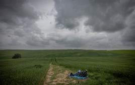 מזג אוויר מעונן, חורף (צילום: חיים גולדברג/פלאש 90)