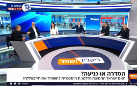 ריקלין ושות'  (צילום: צילום מסך, ערוץ 14)