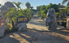 גינה שמספרת סיפור: "דרך האבן" מובילה את תחום עצי הפרי הבוגרים בישראל (צילום: דרך האבן)