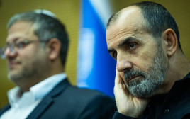 דני לוי (צילום: יונתן זינדל, פלאש 90)