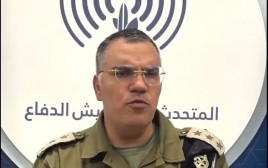 דובר צה"ל בערבית אביחי אדרעי (צילום: דובר צה"ל,צילום מסך)