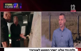 עמית סגל על אמירתו של יעלון (צילום: צילום מסך חדשות 12)