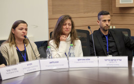חיילים בודדים. רובם זקוקים לסיוע נפשי (צילום: דוברות הכנסת)
