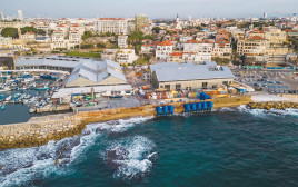 תחנת הכוח, חברת Eco Wave Power (צילום: באדיבות החברה)