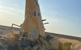התרסקות מטוס ריסוס בנגב  (צילום: דוברות מד"א)