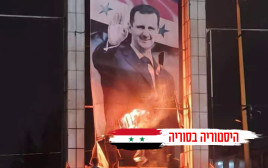 מורדים שורפים את דגל אסד (צילום: רשתות ערביות, שימוש לפי סעיף 27 א')