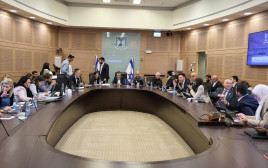 ועדת הכספים שבמהלכה הוחלט על צמצום העלייה במיסוי הקצבאות הפנסיוניות  (צילום: דוברות הכנסת)